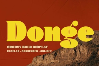 Donge Font: Elegant & Versatile Design Inspiration